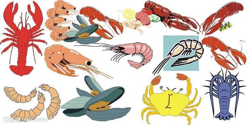 走进湛江生物科技：选购指南